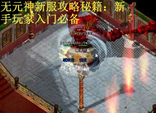 无元神新服攻略秘籍：新手玩家入门必备